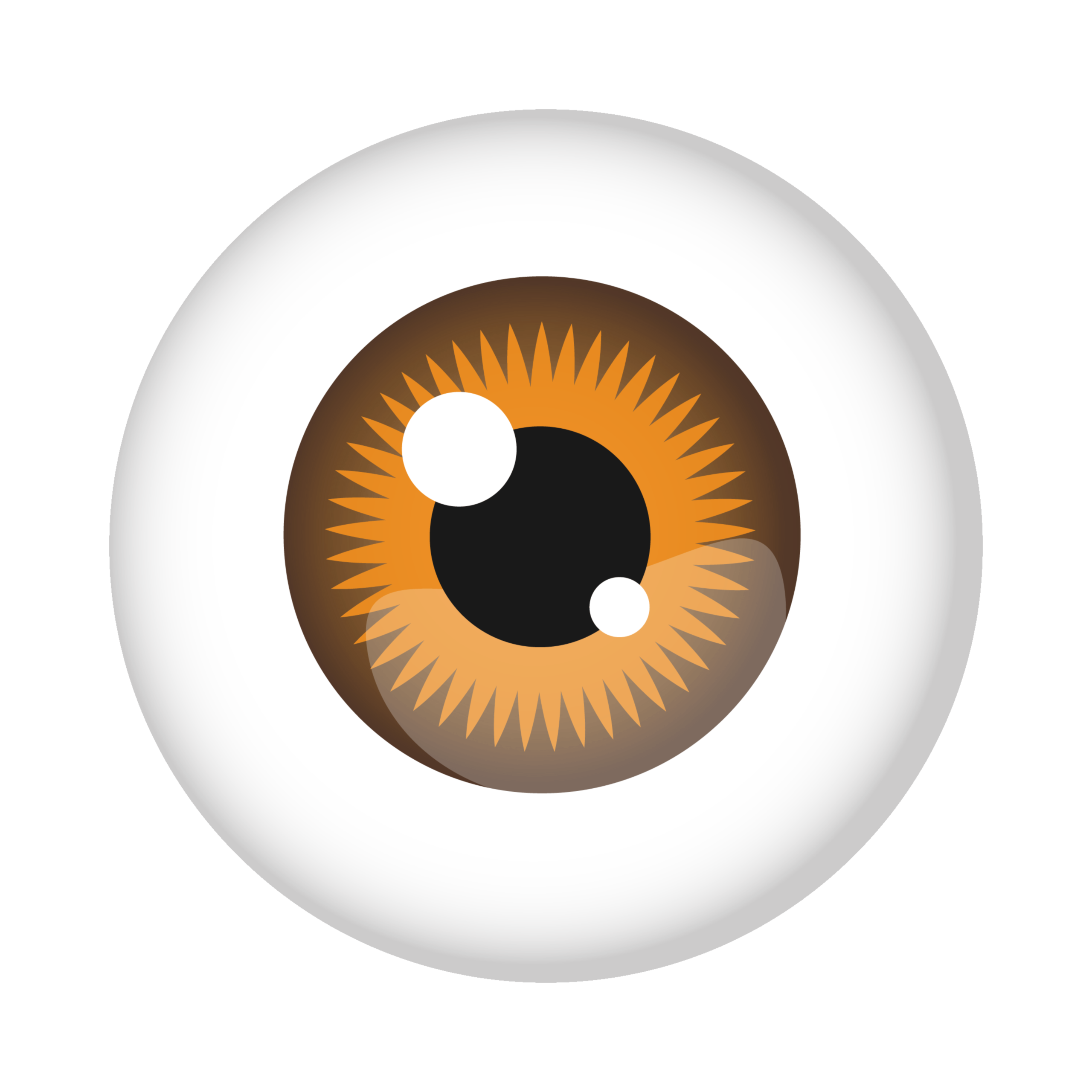 Our Vision