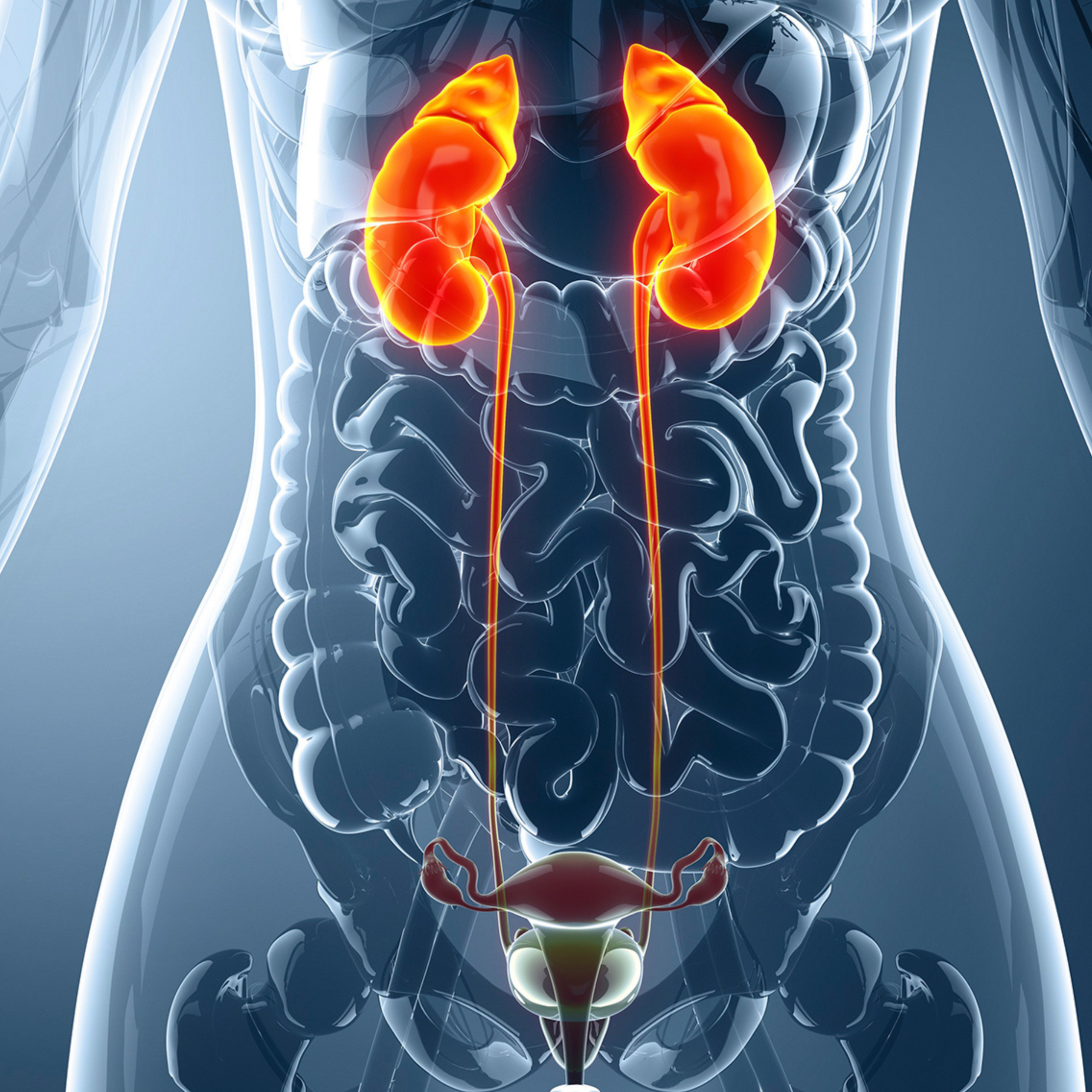 Urology & Urogynaecology